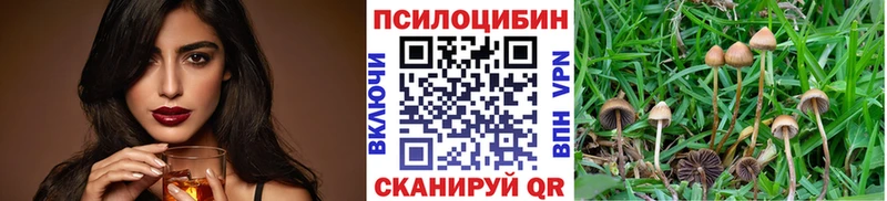 Псилоцибиновые грибы Magic Shrooms Тогучин